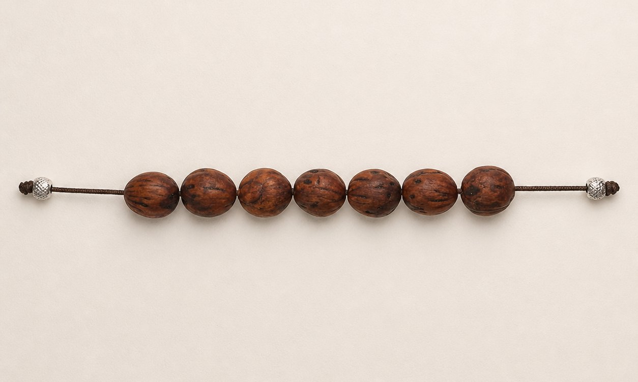 KOMBOLO strand No. 01 — seven whole nutmegs on a waxed cord with knurled steel tips, laid flat